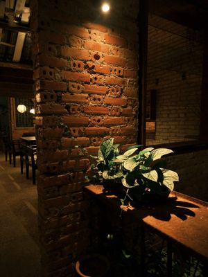   at O Plant-based - Tôn Thất Đạm in Ho Chi Minh City