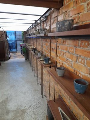  at O Plant-based - Tôn Thất Đạm in Ho Chi Minh City