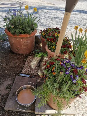 Schöne Deko und Wasser für den Hund at Café Ceci in Potsdam