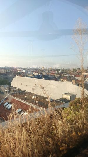  at Klunkerkranich in Berlin