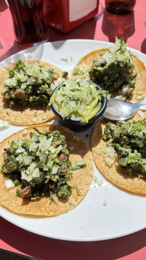 Tacos veganos   at Vermuteria & Taperia Camacho in Parets Del Valles