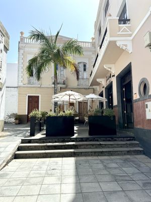   at Cafe Belvedere in La Palma