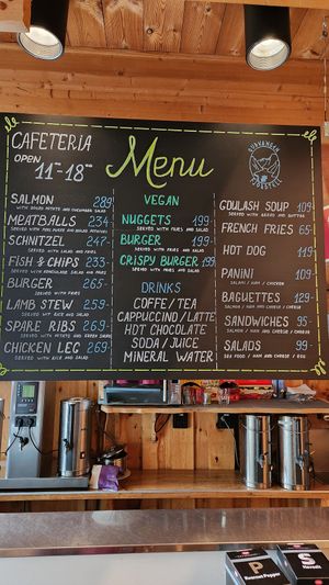 Vegan items marked clearly on menu. at Kongshallen in Gudvangen