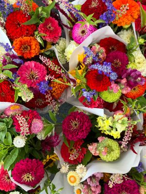  at Apple Valley Farmers Market in Apple Valley