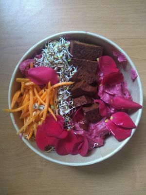 The filling multicolour cashew cheese pasta dish.  at Planty in Belgrade