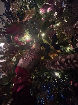   at Fiera in Antwerpen