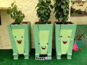 plantitas felices at Caballete & Berenjena in Magdalena