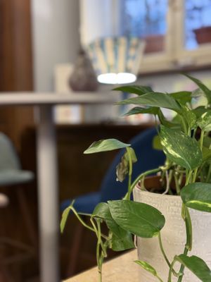   at H&G - Coffee Lounge Lucca in Lucca