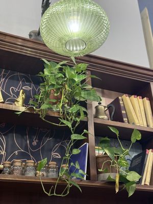   at H&G - Coffee Lounge Lucca in Lucca