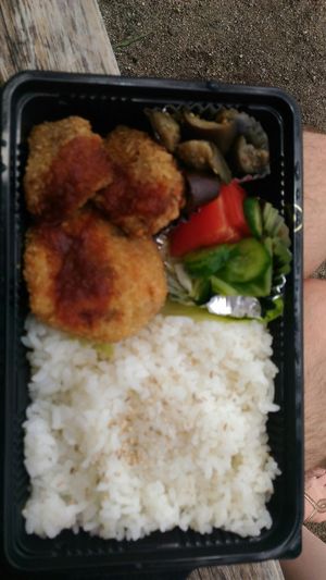 soybean and wheat gluten croquettes bento at Earth Kitchen in Kyoto