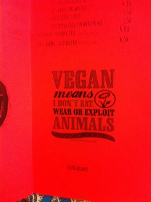 Ethical vegan at Rayen Vegano in Madrid