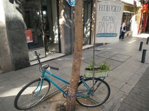 bike at Rayen Vegano in Madrid
