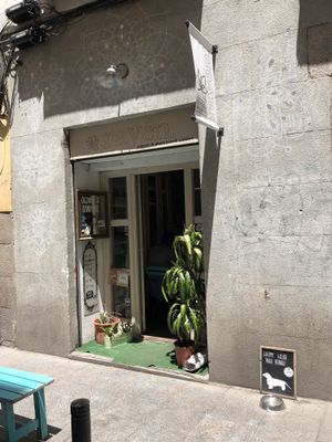Outside at Rayen Vegano in Madrid