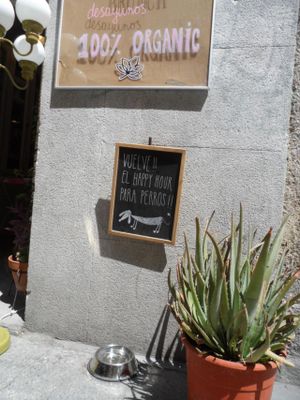 dogs are happy at Rayen Vegano in Madrid