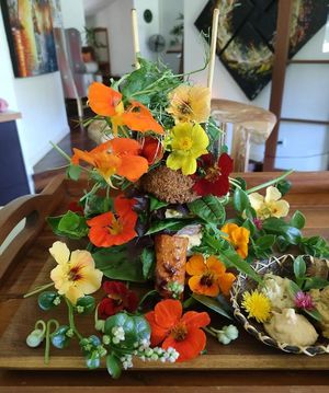 Arty health food at Gold Coast Insight Retreats in Tallebudgera