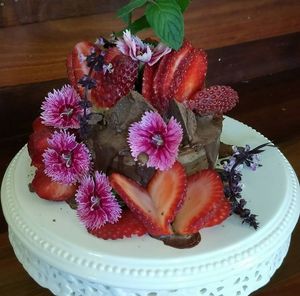 Yummo at Gold Coast Insight Retreats in Tallebudgera