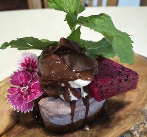 Home grown dragon fruit, cashew berry cheesecake, coconut yoghurt & tahini & cacao chocolate at Gold Coast Insight Retreats in Tallebudgera