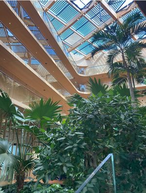 🌿  at Café Jakarta in Amsterdam