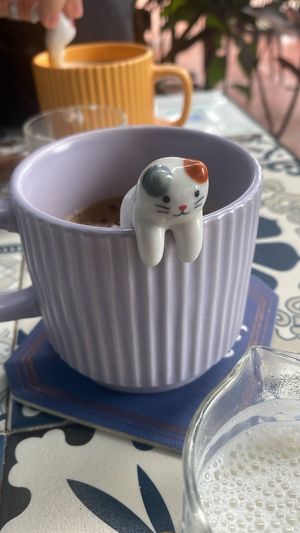   at The Healing Kitchen in Cat Ba