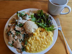 Modest plate (changes daily) at Peace Natural Vegan Food in Berkeley