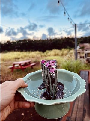 Grasshopper Pie with Mint Spirulina and Cacao . A delicious mint chocolate chip dessert that is nutritious at Mandala Living Foods Cafe in Anahola