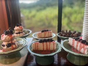 vegan, raw, dairy free, gluten free strawberry shortcake, cheesecake and brownies at Mandala Living Foods Cafe in Anahola