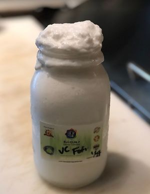 Densely packed dairy free Probiotic yogurt!!!!! at Mandala Living Foods Cafe in Anahola