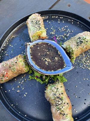 My appetizer (the burrito didn’t make the pic)  at Mandala Living Foods Cafe in Anahola