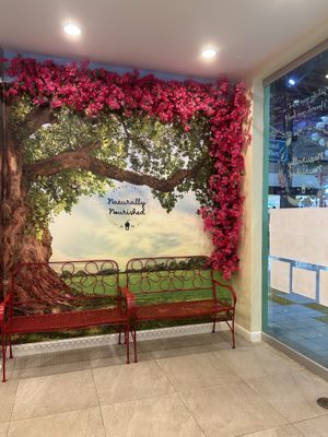 Vibes  at Naturally Nourished in Guam