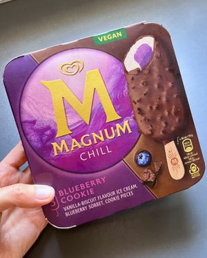 Found vegan ice-cream in La Sirena at La Sirena in Premia De Mar