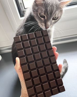 Vegan chocolate without wrapper at Ametller Origen in Premia De Mar