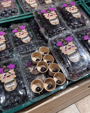 Sample grapes (washed) at Ametller Origen in Premia De Mar