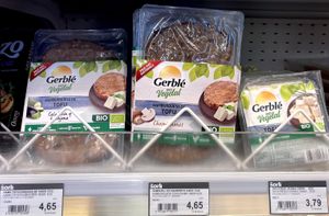 Tofu products: classic tofu and two burgers (with mushrooms and aubergines) at Sorli in Premia De Mar