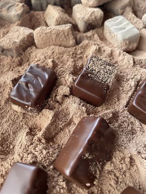 Devon Salted Caramel Fudgy Truffles   at Tempt in Totnes