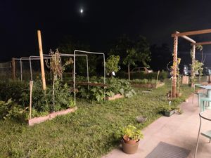 Garden at Eatvolve in Bedizzole