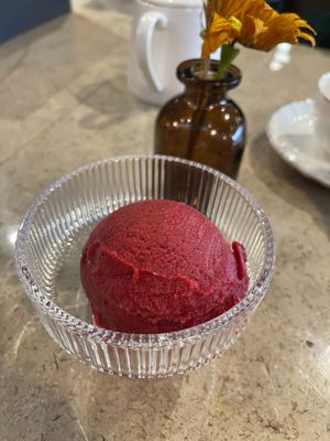 Vegan sorbet at Roots Bistro KL in Kuala Lumpur