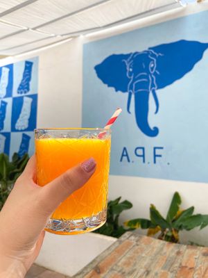  at A.P. F. Cafe & Restaurant in Lisbon