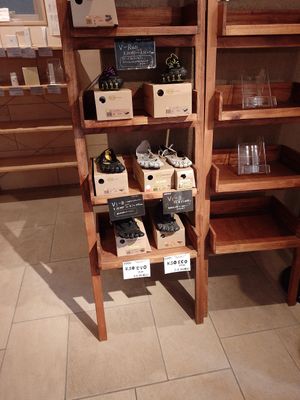 They sell vegan barefoot shoes, too. at CHOICE in Kyoto