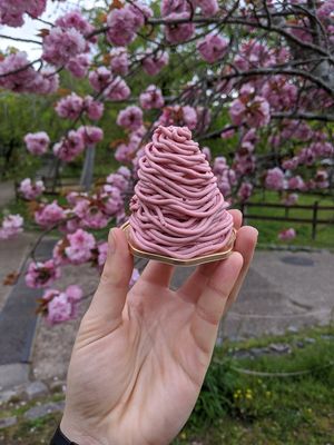 Strawberry Mont Blanc at CHOICE in Kyoto