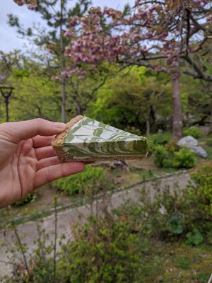 Chlorella cheese cake (my fave!) at CHOICE in Kyoto