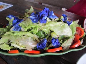 delicious, colourful salad at Happy Green in Chiang Mai