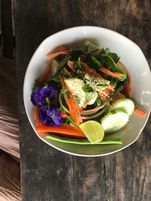 Beautiful fresh salad straight from the garden at Happy Green in Chiang Mai
