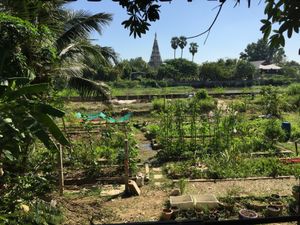 The view! at Happy Green in Chiang Mai