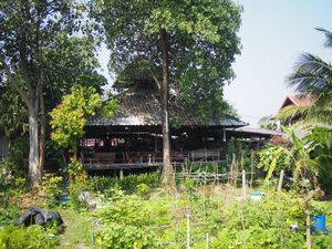 View from the garden  at Happy Green in Chiang Mai