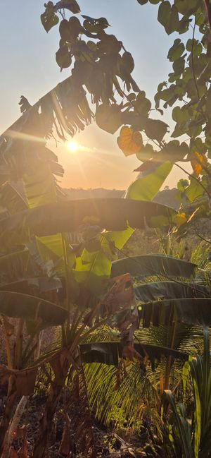  at Vegan Soul Cafe in Penida Island