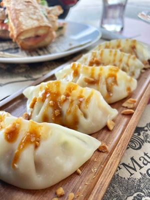 Gyozas verdura at Gastrobar Decibels in Premia De Mar