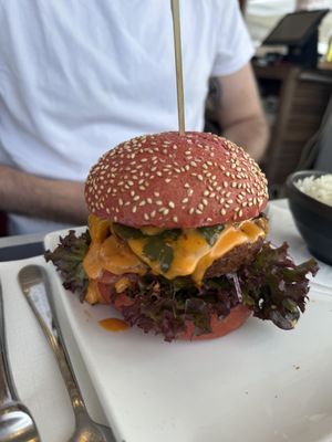   at Venitien in Blankenberge