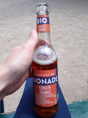 Bionade (soft) at Hank Cuisine Végétale - Archives in Paris