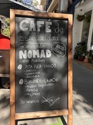   at Let It Bloom in Valencia