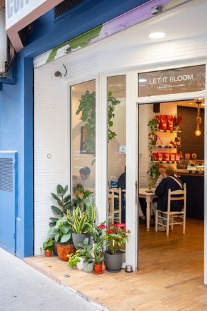   at Let It Bloom in Valencia